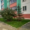 IMG-20201222-WA0000